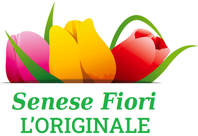 Senese Gianluca (Senese fiori)