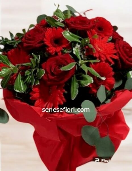 Bouquet rose rosse ECUADOR top e gerbere Toni del rosso small
