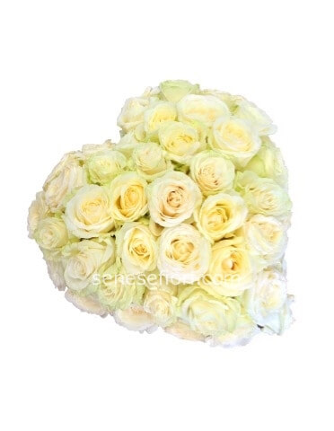 Cuore rose bianco