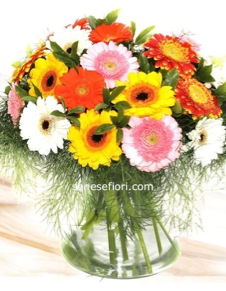Bouquet di Gerbere: Colore e Solarità a Domicilio a Napoli