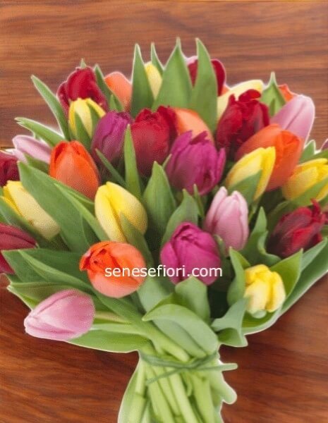  Bouquet tulipani 