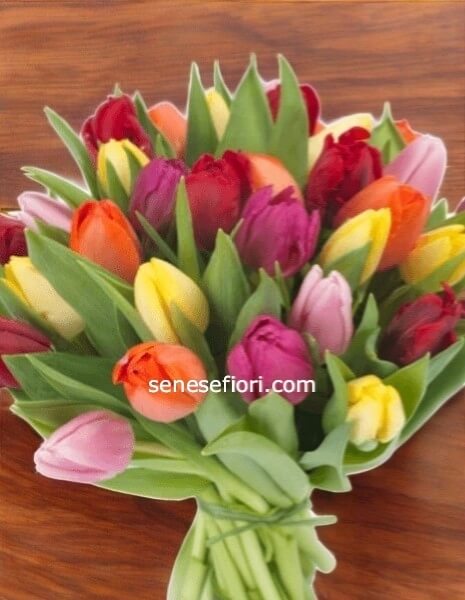 bouquet 10 tulipani