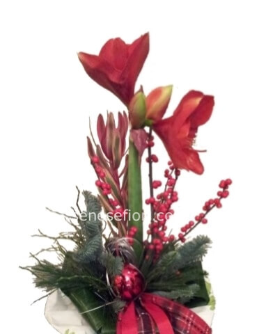 Mazzo di fiori natalizio.