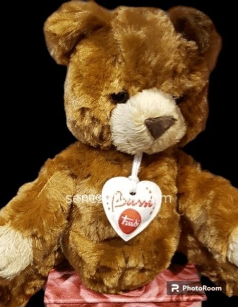 orso peluche trudi