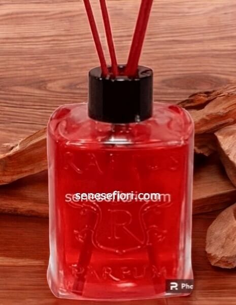 Il Profumatore per Ambiente RAPTUS