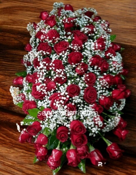 copribara rose rosse