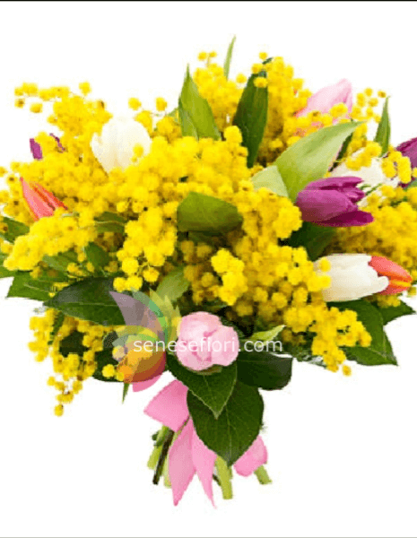 bouquet stelo corto tulipani e mimose small 10 tulipani