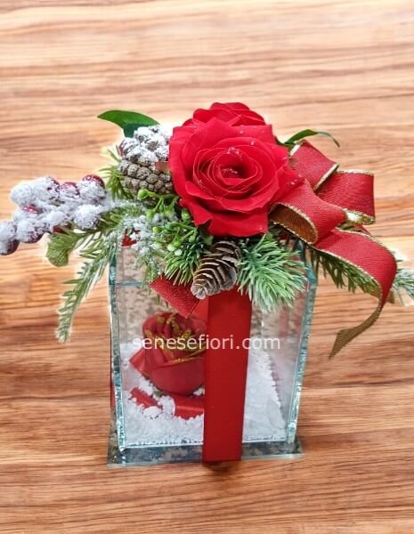 composizione natalizia cubo vetro rosa rossa