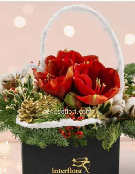 Flower box  natalizio art.61