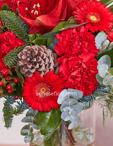 Bouquet Christmas ordina un giorno prima della data di consegna