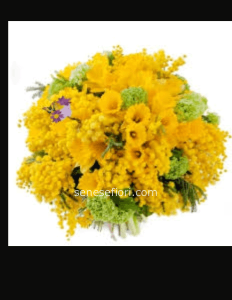 Piccolo Bouquet fresie e mimose