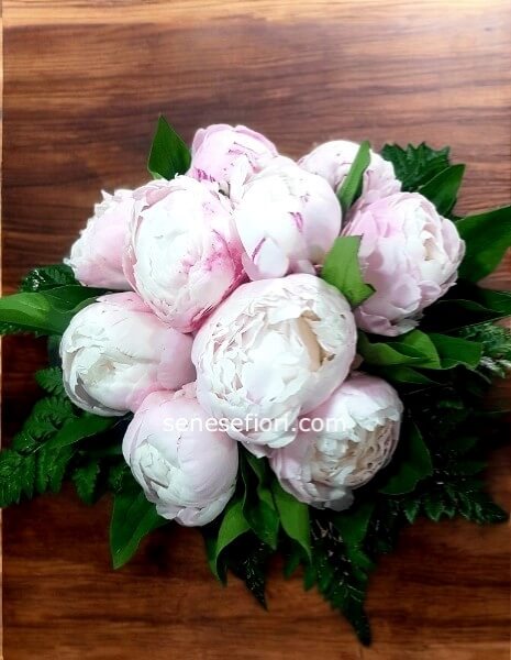 Bouquet 5 Peonie