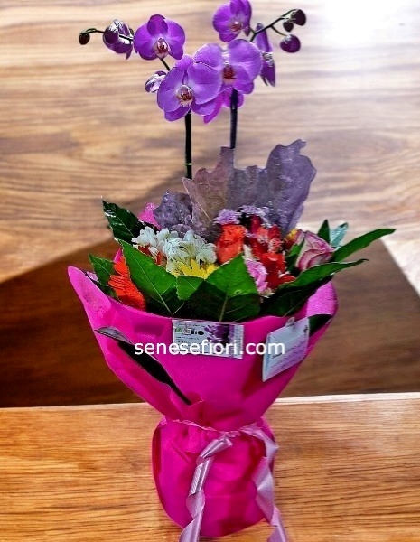 Pianta Orchidea con Bouquet fiori misti compleanno Napoli