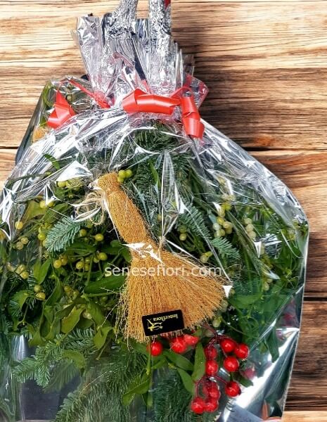 vischio portafortuna