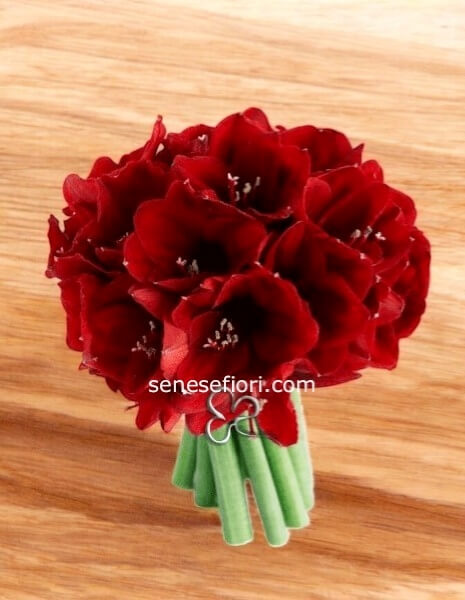 Bouquet Amaryllis small