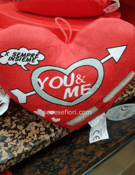 cuscino sempre insieme