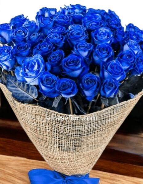 5 rose blu'Ecuador 60/70cm