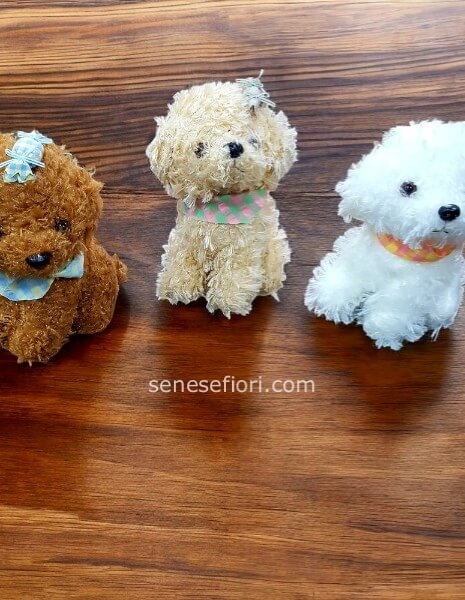 peluche Barboncini