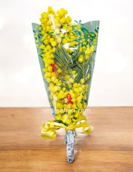 mazzetto piccolo di mimosa minima quantita'acquistabile