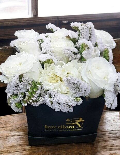 Flower box rose  bianche