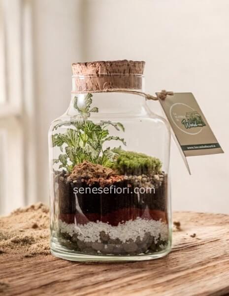 terrarium Fantasia