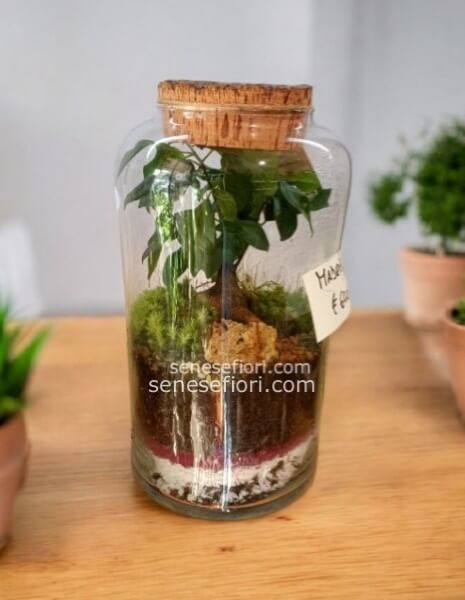 terrarium madrid