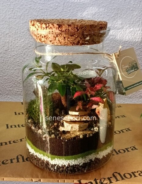 terrarium amsterdam