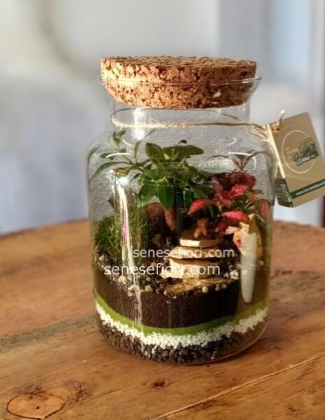 terrarium amsterdam
