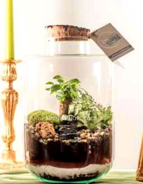 TERRARIUM PARIGI