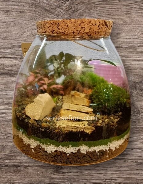 terrarium parigi