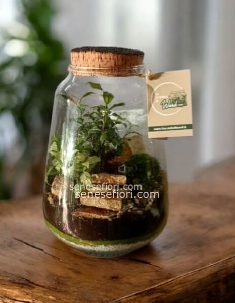 terrarium francoforte