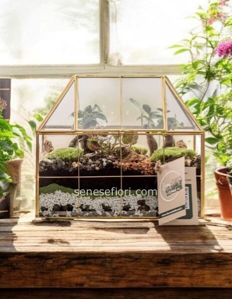 terrarium la scatola di ward art 10