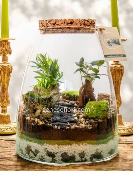 terrario bali art 9
