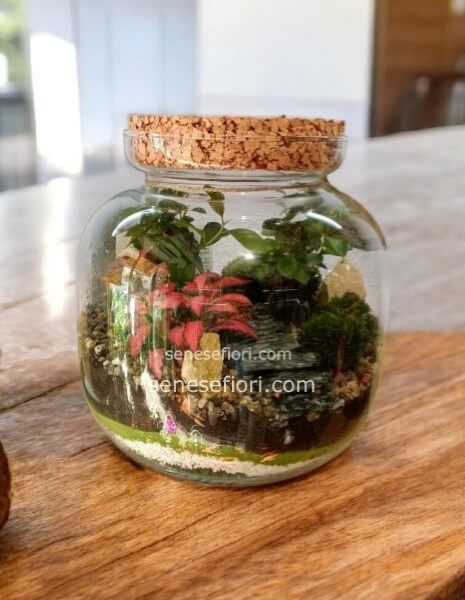 terrario osaka art 8