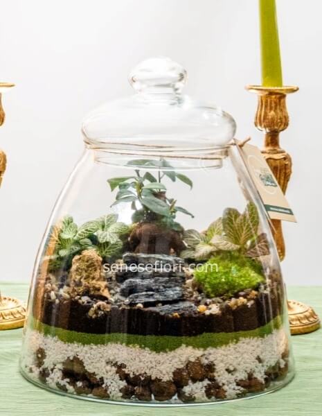 terrarium dubai