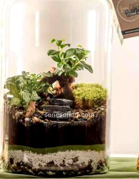 TERRARIUM TOKIO