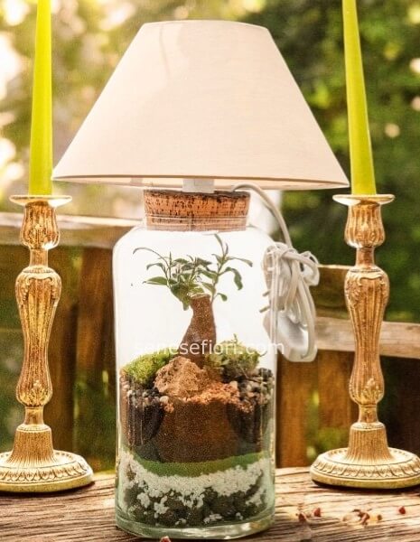 light terrarium madrid