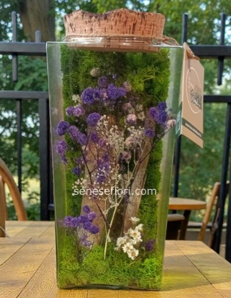 acquista terrarium stabilizzato senese fiori
