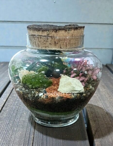 Terrarium "Kyoto": L´Eleganza del Giappone nel Tuo Salotto