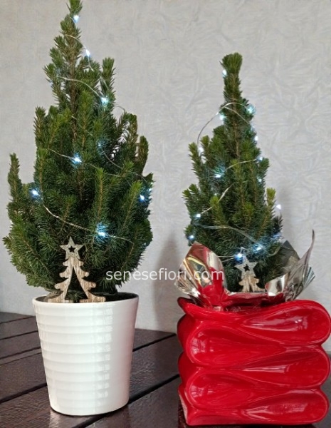 alberello natalizio