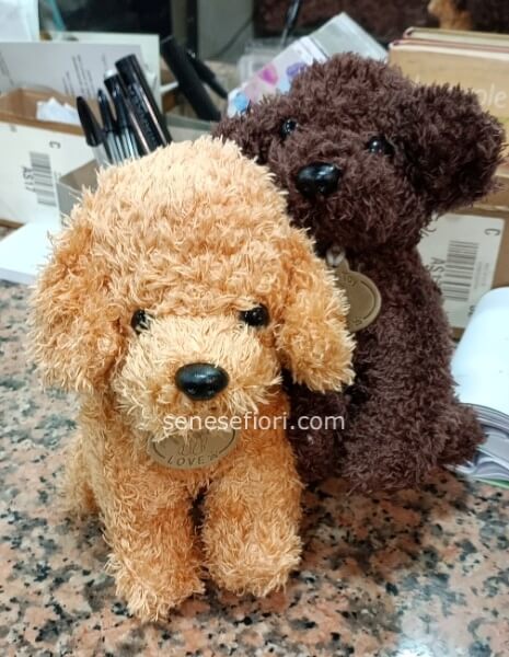 barboncino peluche